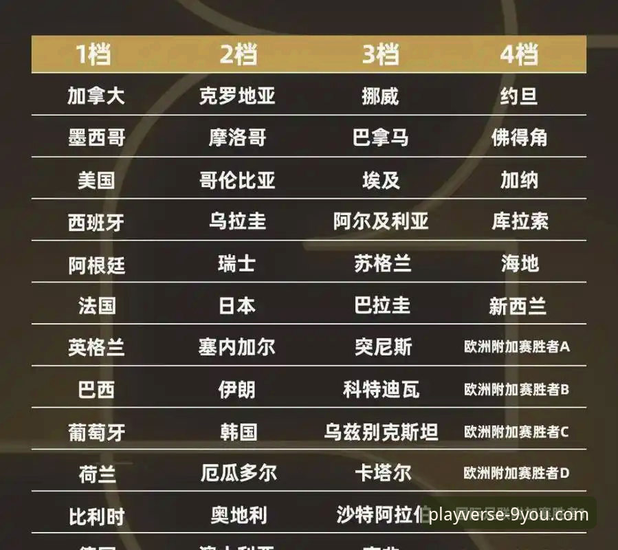 世界杯附加赛绝杀时刻深度评测：民主刚果52年后重返赛场，九游游戏平台见证经典对决